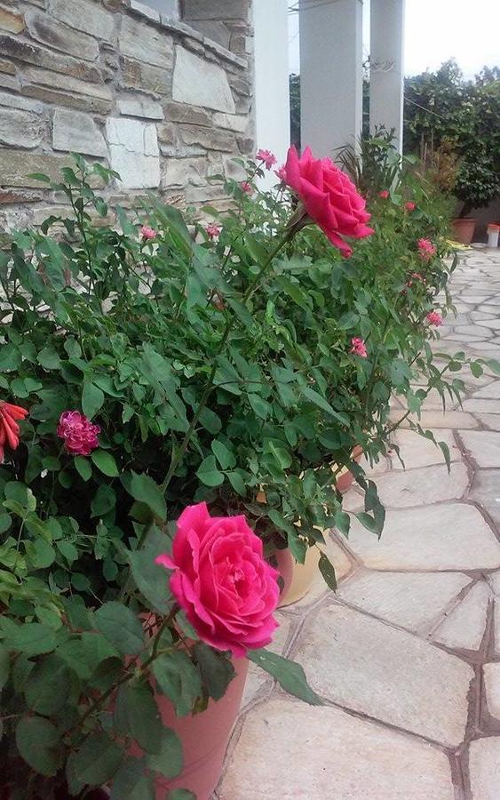 Hotel Sevilli Agios Ioannis  ภายนอก รูปภาพ